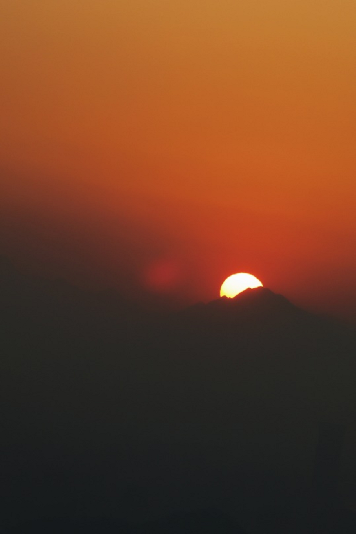 1688090199621069055.png 三等奖作品 郜文欣.png